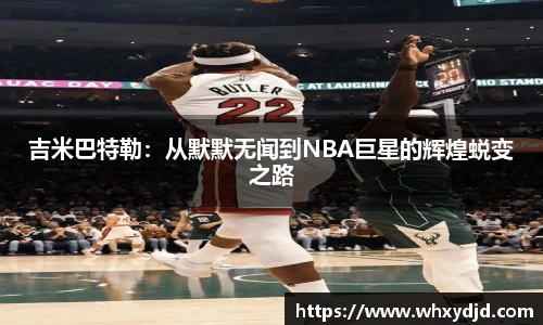 bsports登录入口