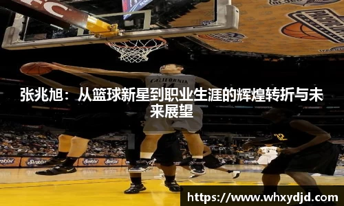 bsports登录入口