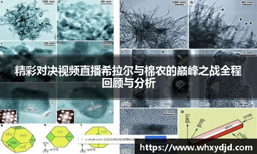 Bsports网页版
