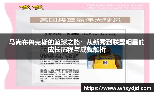 bsports登录入口