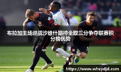 Bsports网页版