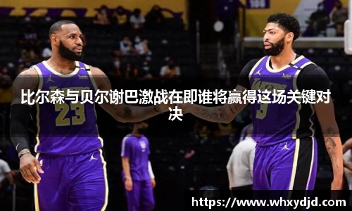 bsports官网入口