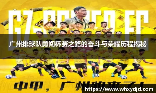 bsports官网入口