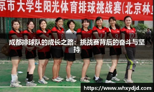 成都排球队的成长之路：挑战赛背后的奋斗与坚持