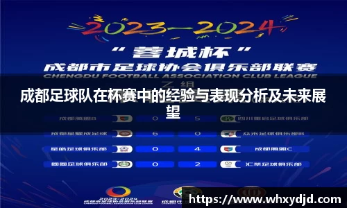 成都足球队在杯赛中的经验与表现分析及未来展望