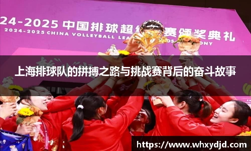 上海排球队的拼搏之路与挑战赛背后的奋斗故事