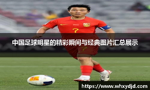 bsports登录入口