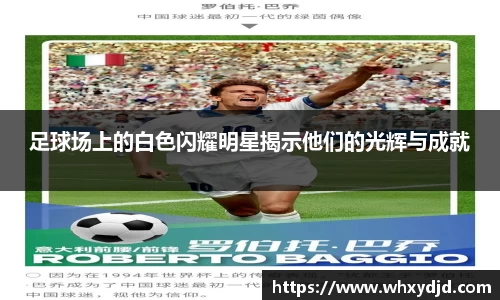 bsports官网入口